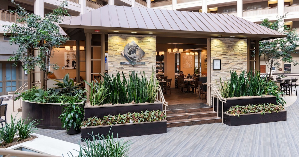 Embassy Suites by Hilton Chicago North Shore Deerfield - photo 49