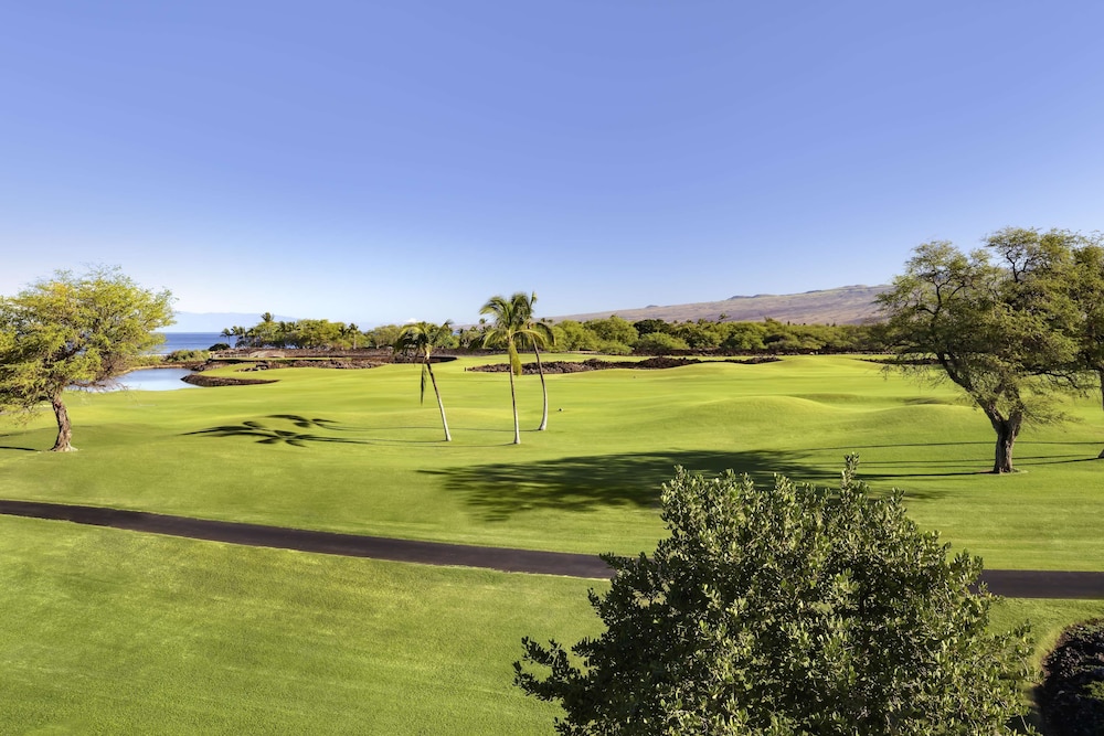 Fairmont Orchid - photo 6