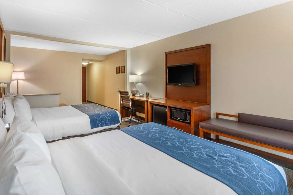 Comfort Suites Manassas Battlefield Park - photo 16