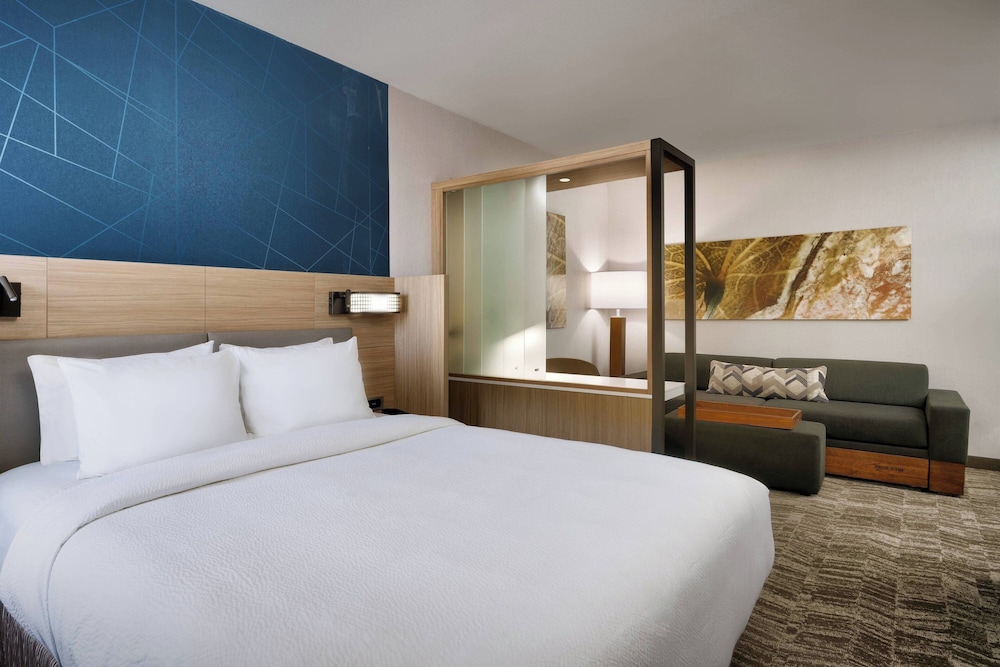 SpringHill Suites by Marriott El Paso Airport - photo 13