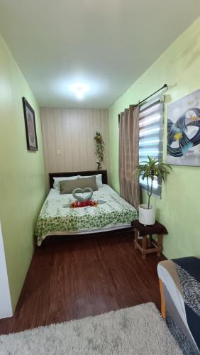 Amigas Transient - carbon neutral hotel in Santo Tomas