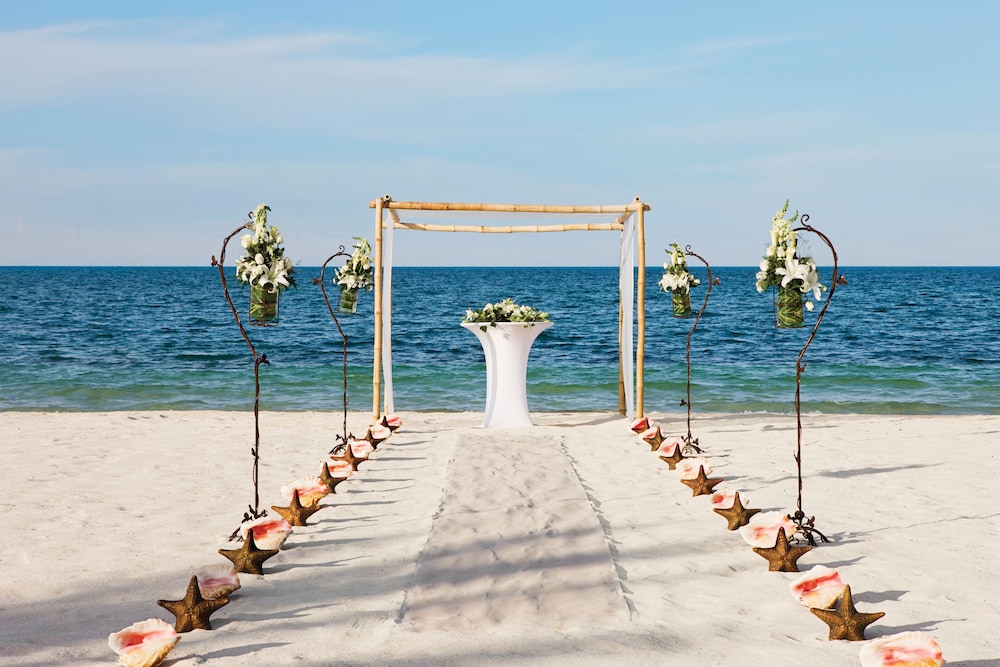 Outdoor wedding area