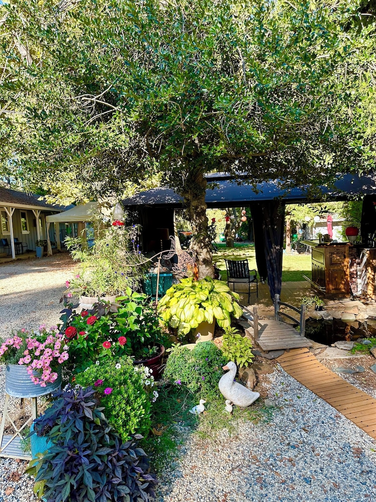 The Pines Inn and Cottages - photo 76