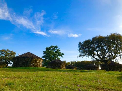 Chozos Las Flores de la Dehesa pet-friendly hotel Calzadilla