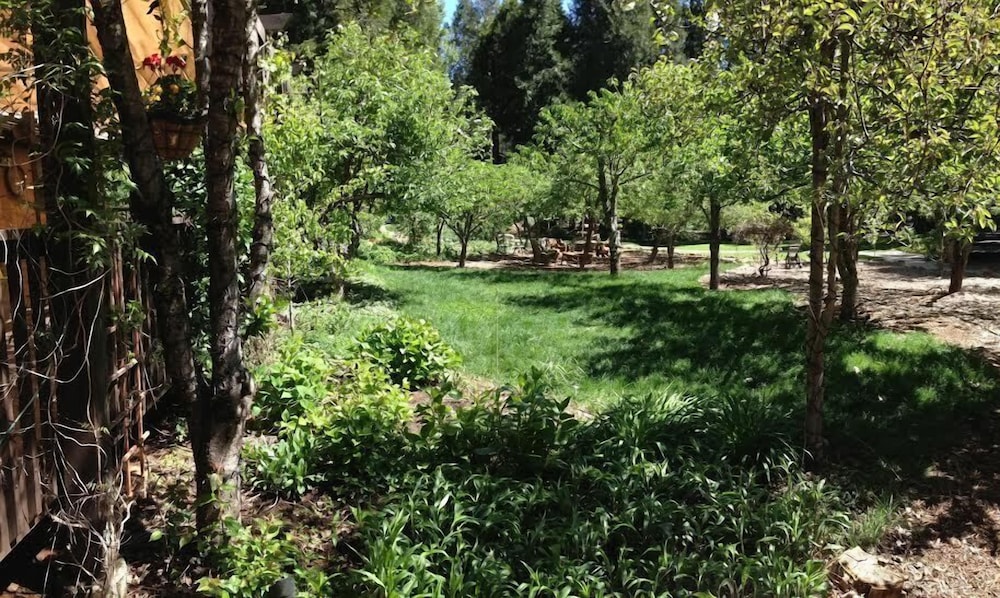 Harmony Ridge Lodge - photo 32