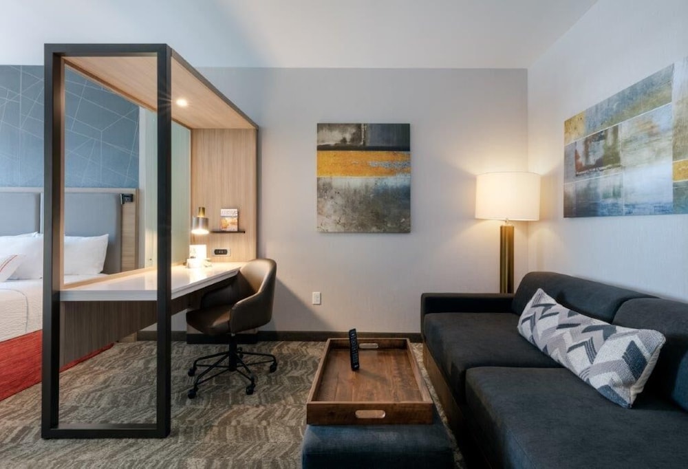 SpringHill Suites by Marriott Suwanee Johns Creek - photo 8