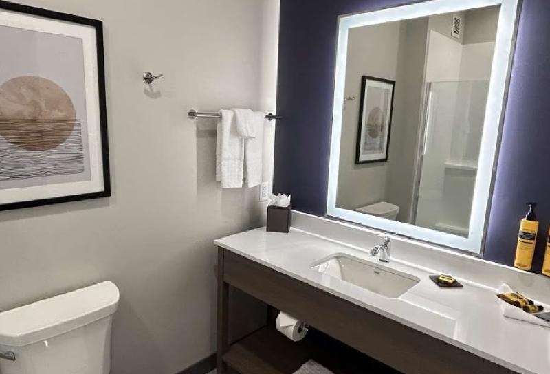 Best Western Plus Marquette Hotel Suites - photo 36