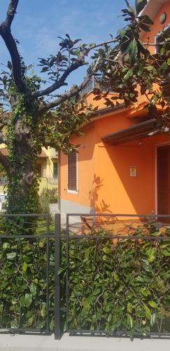 New Life — Carrara — photo 5
