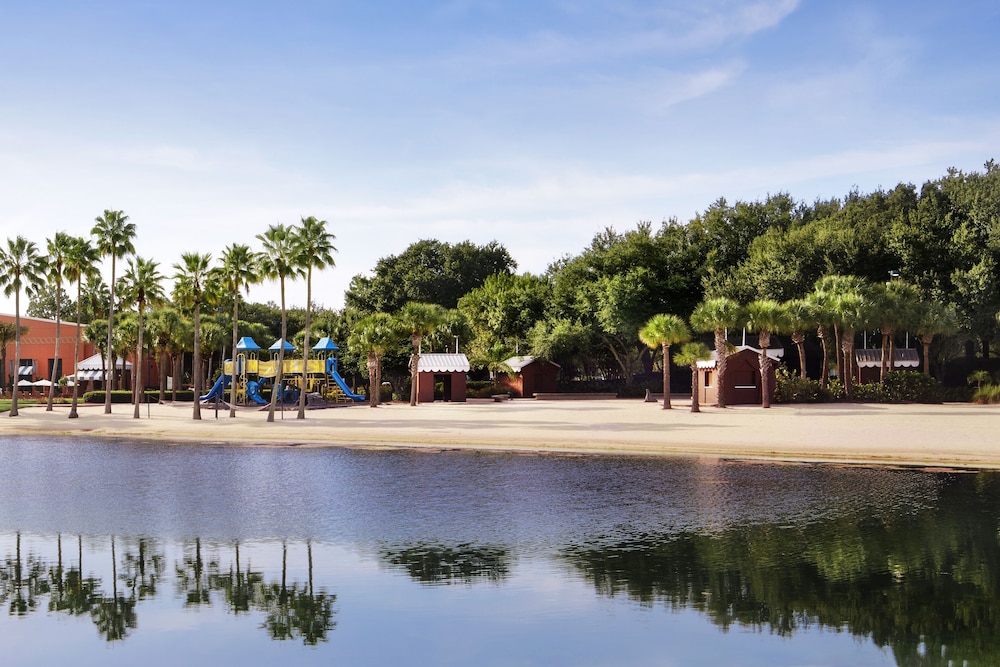 Walt Disney World Dolphin - photo 139