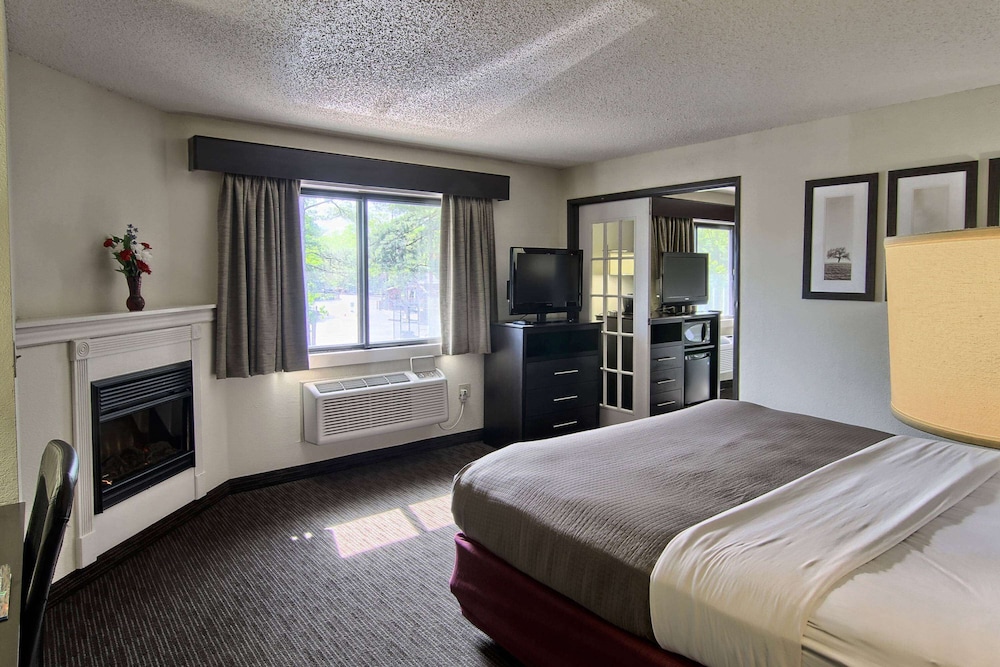 Blossom Hotel & Suites Traverse City - photo 12