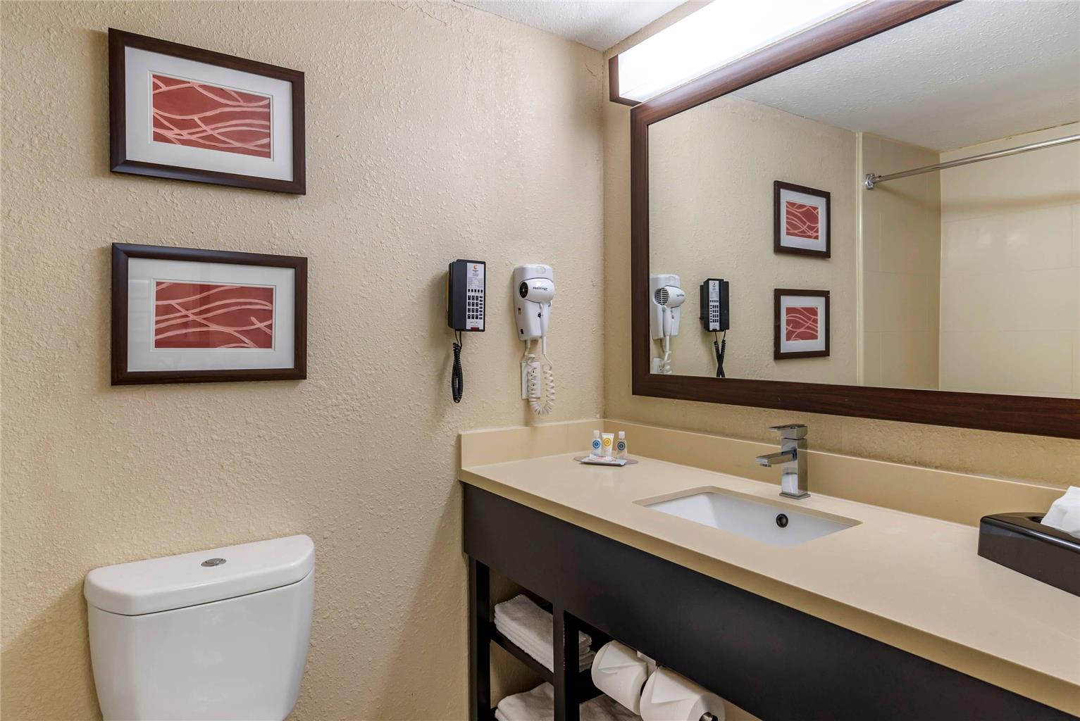 Comfort Inn & Suites near Six Flags - photo 23