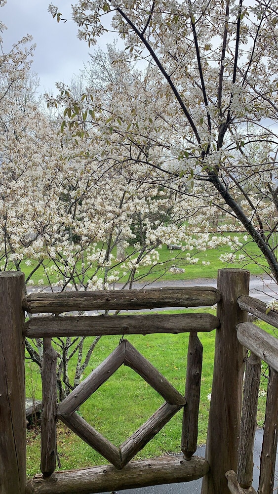 Hotel Mountain Brook - photo 155