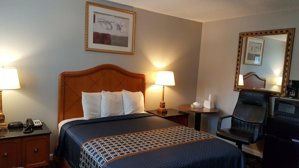 Lake Ridge Hotel - photo 20