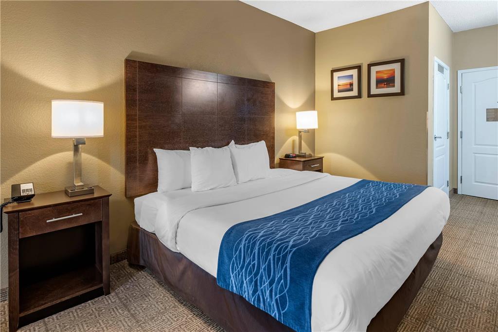 Comfort Inn & Suites Bryant Benton - photo 8