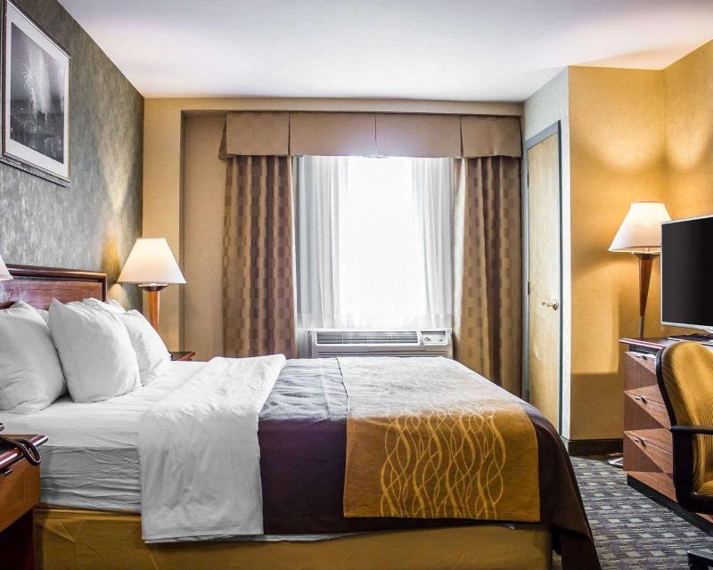 Comfort Inn Brooklyn - photo 15
