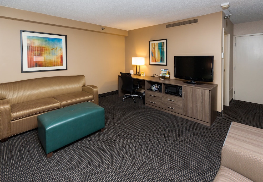 Holiday Inn Downtown Mercy Area by IHG - photo 3