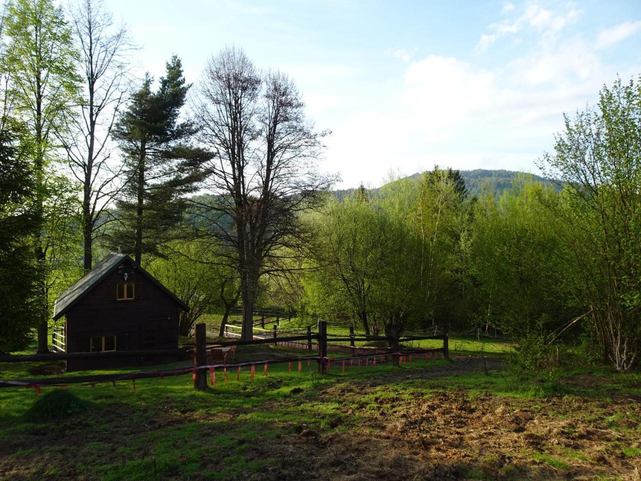 Domek Mysliwski W Gorach — hotel in Ujsoly