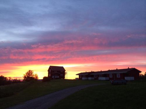 Moose Garden in Oestersund, Sweden