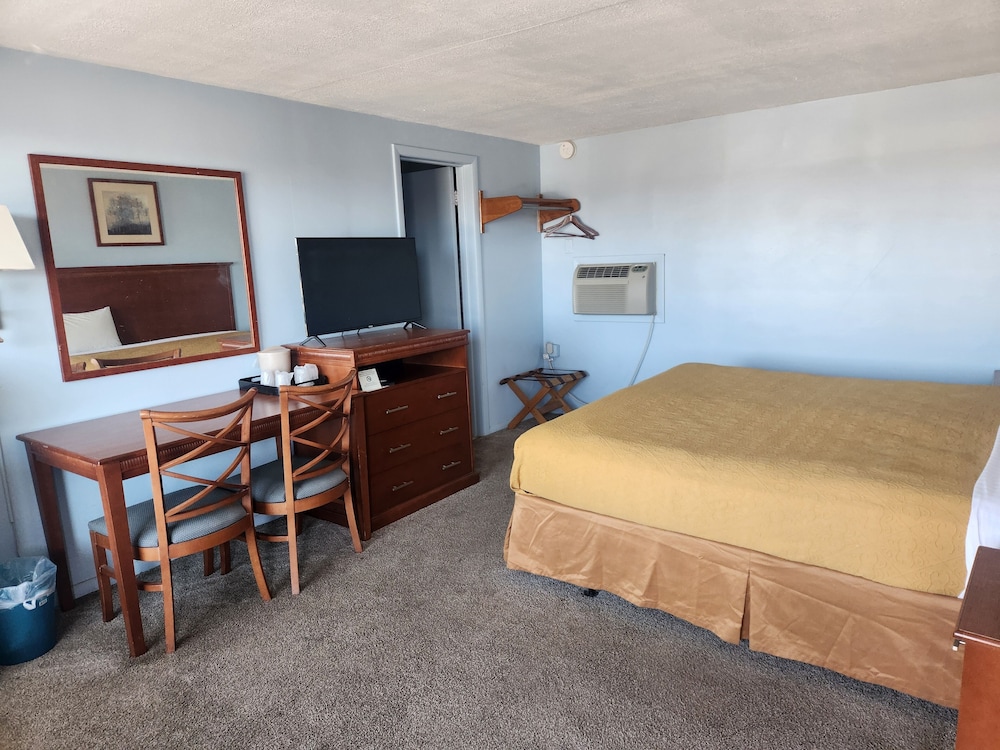 Royal Motel - photo 24