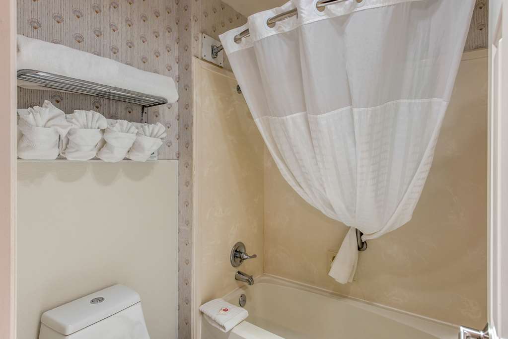 Comfort Inn Mount Shasta Area - photo 21