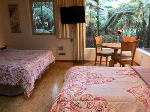 Volcano Inn - photo 51