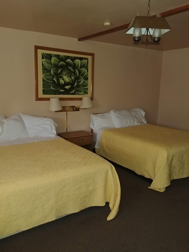 Cactus Inn - photo 10
