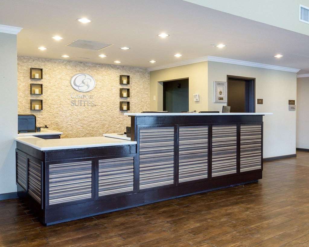Comfort Suites near Westchase on Beltway 8 - photo 6