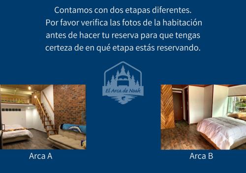 El Arca de Noah — Tota — photo 3