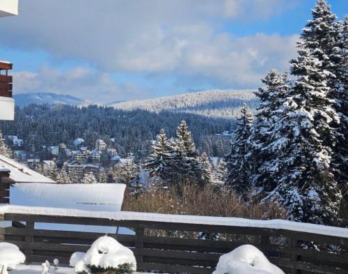 Ideal Predeal in Predeal, Romania