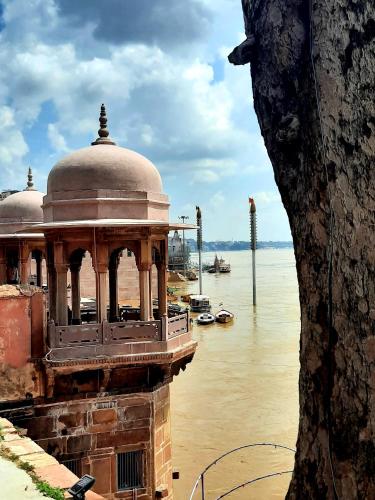 Anand Kanan — Varanasi — photo 4