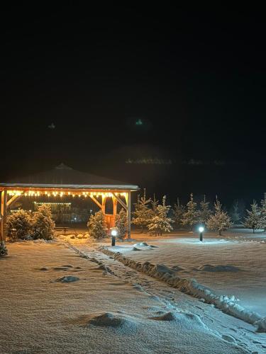 Domki Nad Sanem Bachorzec 6a in Dubiecko, Poland