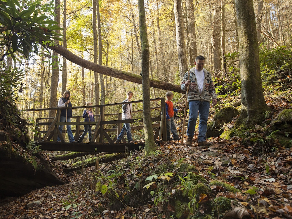 Pine Mountain State Resort Park - photo 28