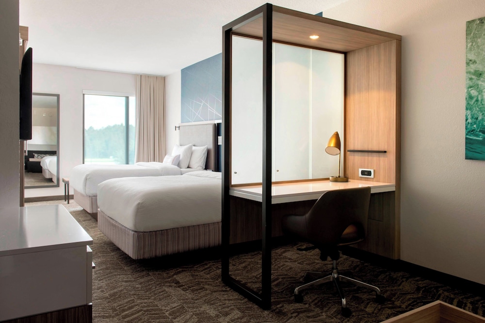 SpringHill Suites by Marriott Tampa Suncoast Parkway - photo 7