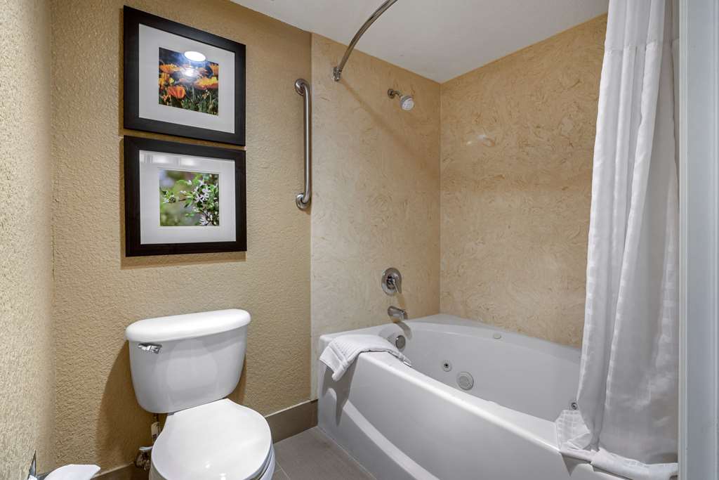 Comfort Inn Lathrop Stockton Airport - photo 17