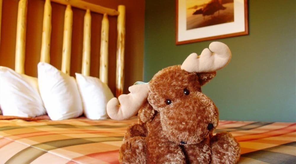 Grand Ely Lodge Resort & Conference Center - photo 7