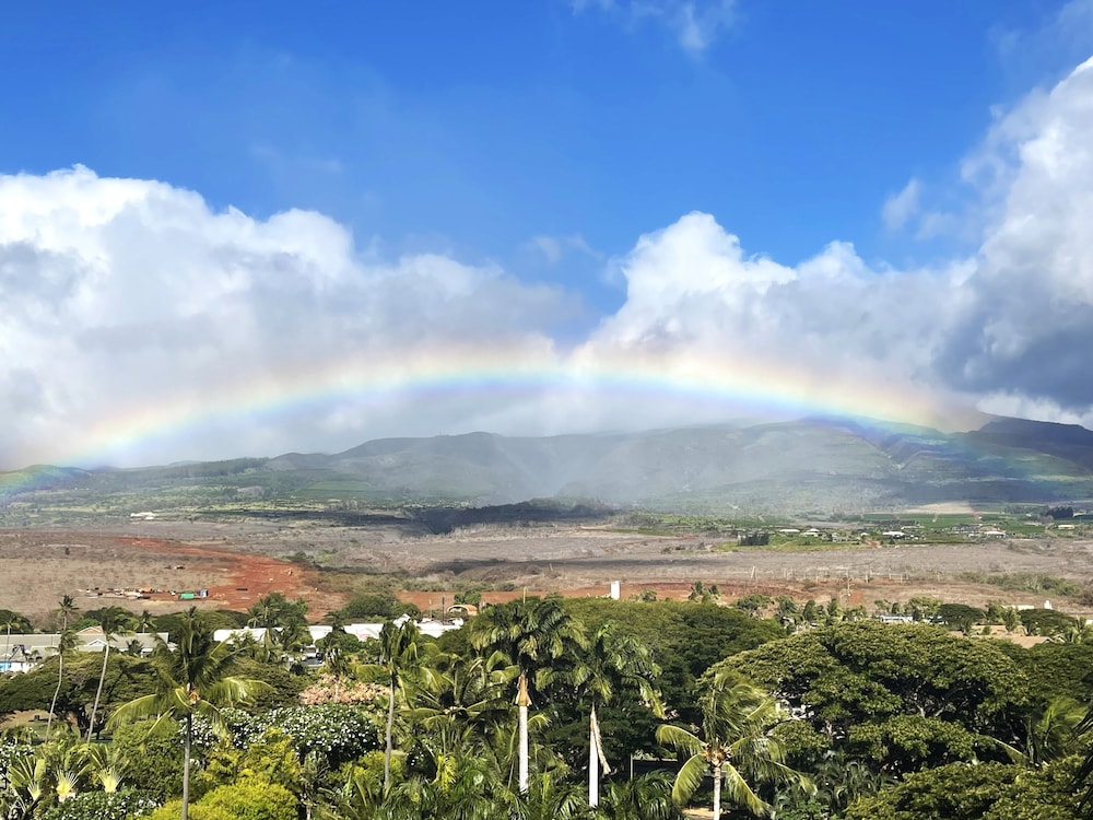 Maui Kai Condos No Resort Fees - photo 63