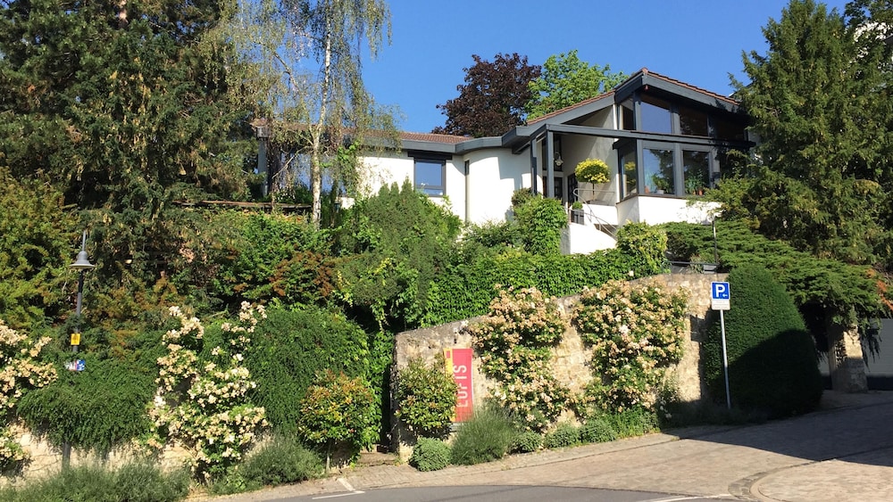 Oppenheim Lofts — hotel in Oppenheim