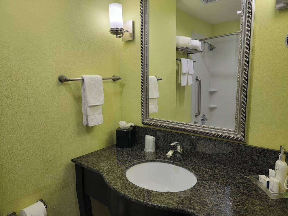 Holiday Inn Garland by IHG - photo 26
