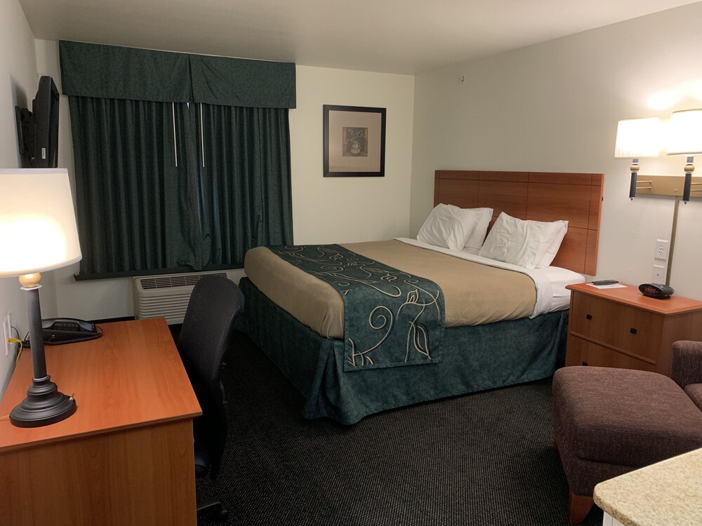 Oak Tree Inn - photo 5