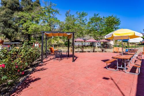 Pio Pico Camping Resort One Bedroom Cabin 14 - photo 6