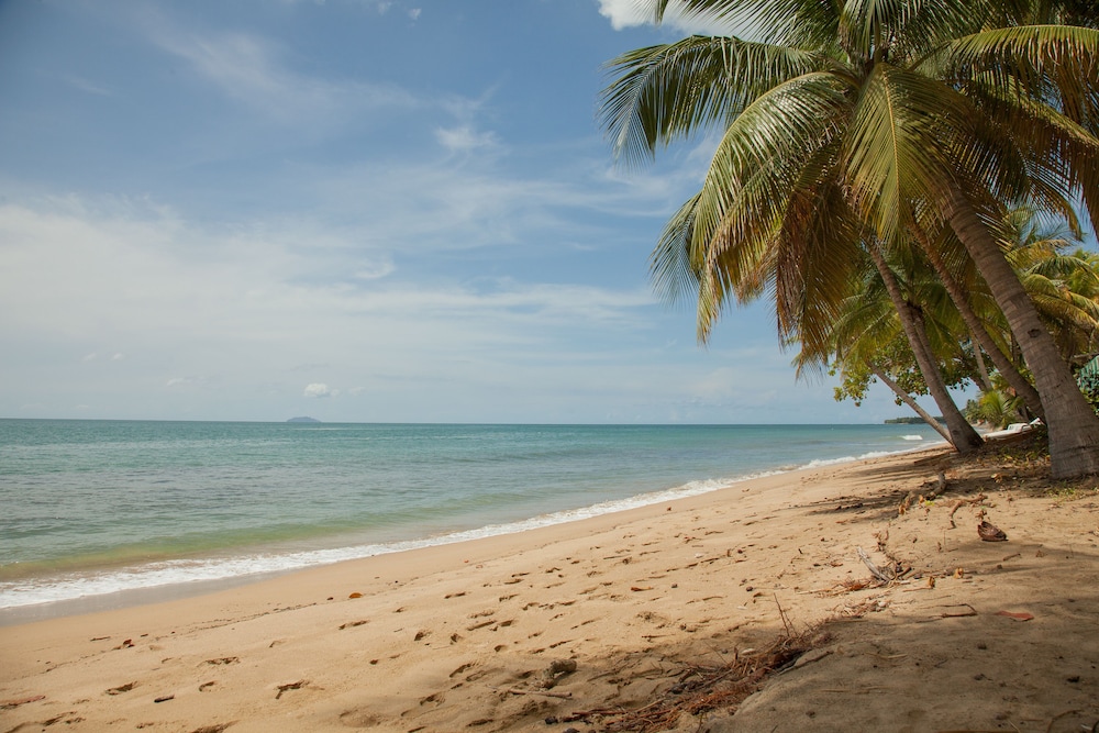 Wave Coast in San Juan, Puerto Rico