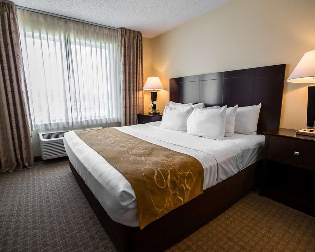 Comfort Suites University Area Notre Dame South Bend - photo 21