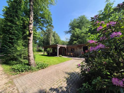 Boshuisje - last minute hotel in Unknown City