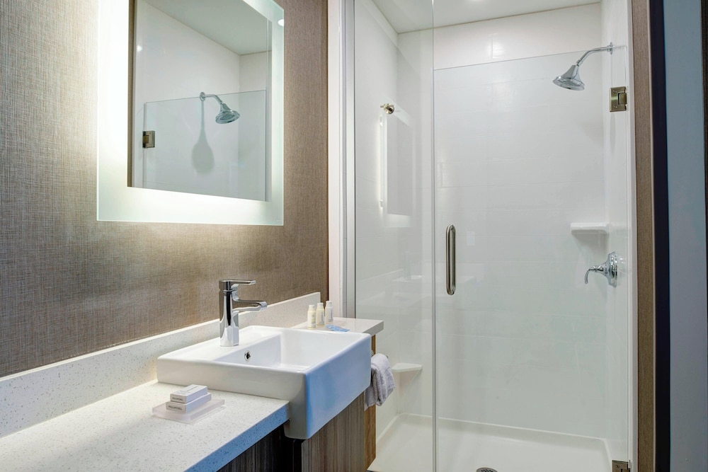 Springhill Suites Grand Rapids West - photo 12