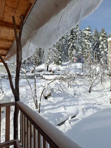 Hotel Khulo lnn — Khulo — photo 3