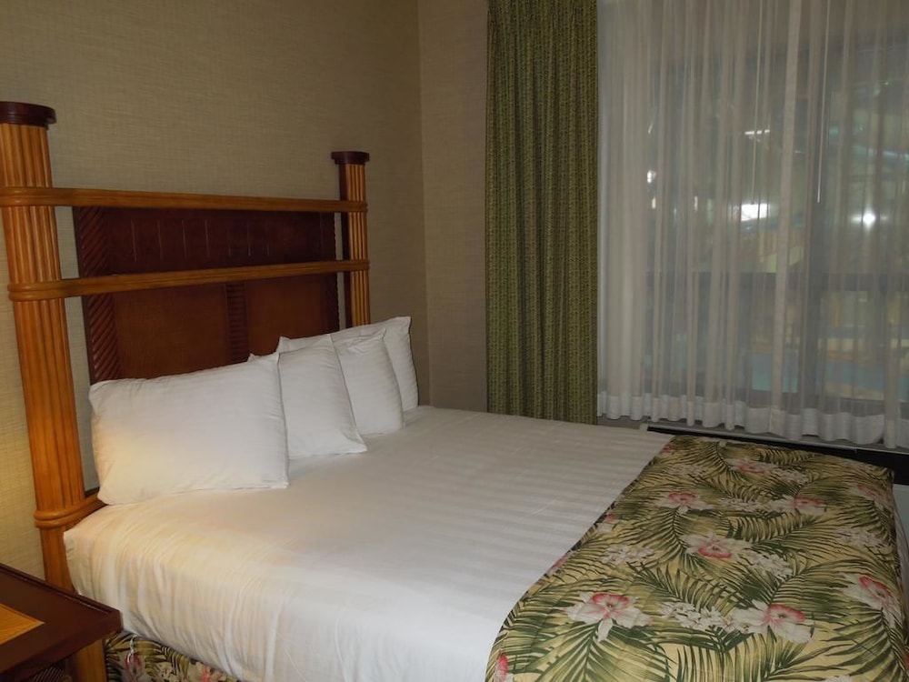 Maui Sands Resort & Indoor Waterpark - photo 16