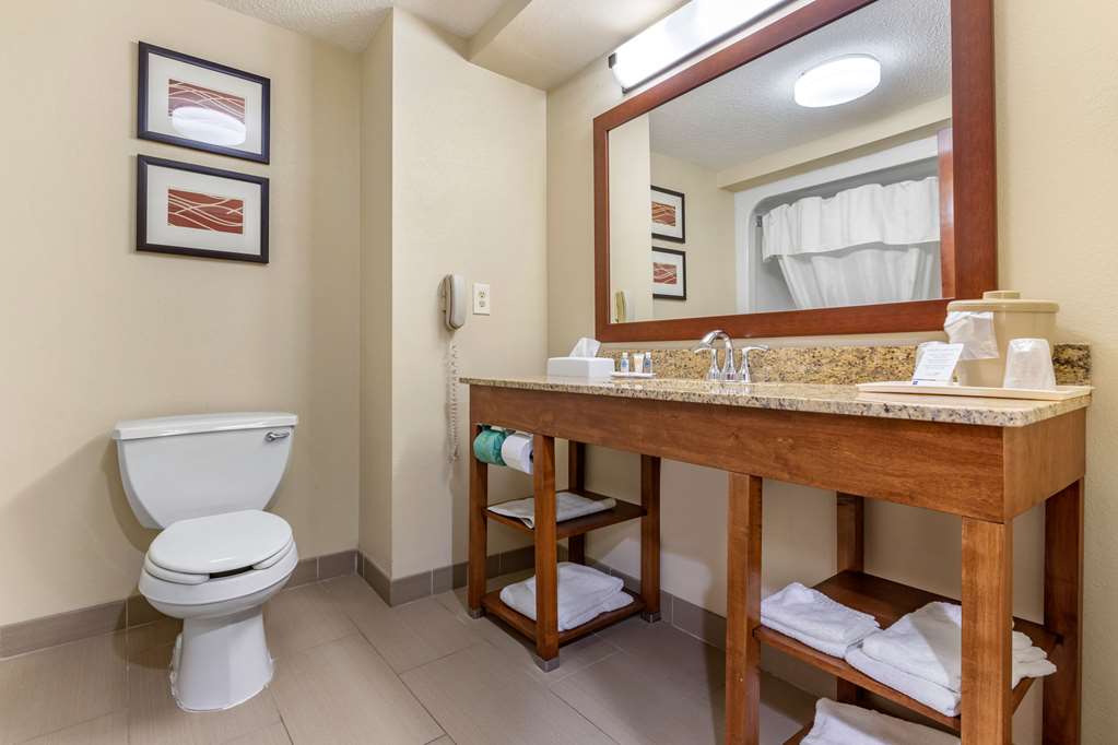 Comfort Inn Blythewood North Columbia - photo 27