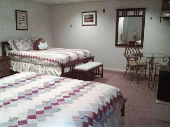Ice Fish Inn - photo 3