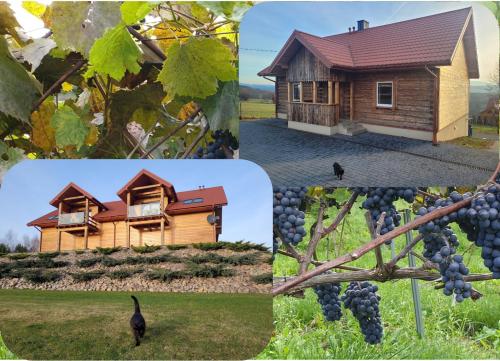 Fantastic View Vineyard Beskid Mountains — 4-Star Luxury Hotel in Gruszow Wielki, Poland