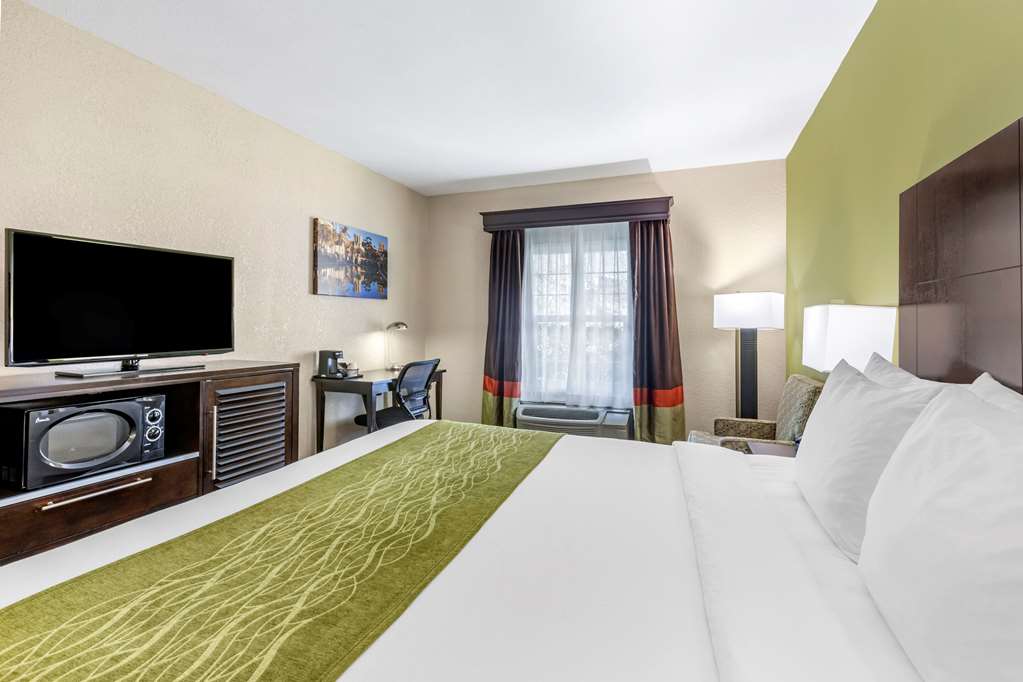 Comfort Inn San Diego Old Town - photo 10